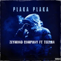 Plaka plaka (feat. Teeran) - Single - Zeymond company