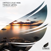 Troubled Waters - Single - Syntouch & Blue Moon