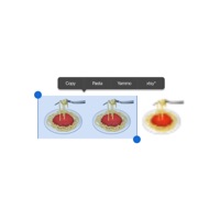 COPY N PASTA (feat. xtsy*) - Single - Yammo