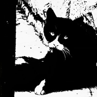 Moscow Nights - Single - Jfarrari