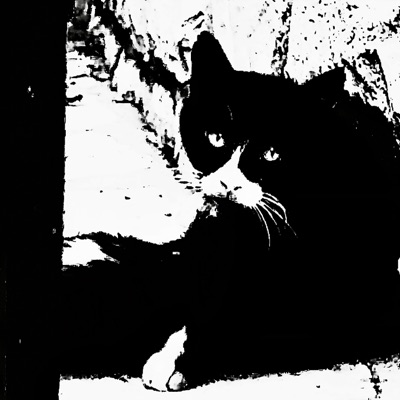 Moscow Nights - Single