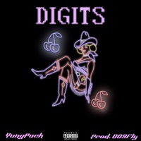 Digits (feat. 009fly) - Single - YungPack