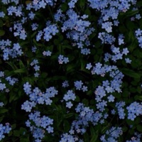 Colores Raros (feat. Tommy H & Hops) - Single - Menacho