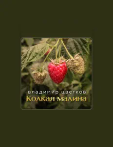 Escucha a Владимир Цветков, mira videos musicales, lee su biografía, consulta las fechas de las gira y más.