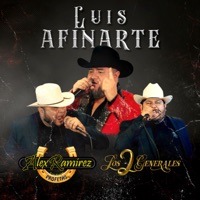 Luis Afinarte