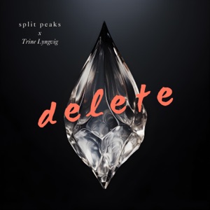 Delete (feat. Trine Lyngvig)