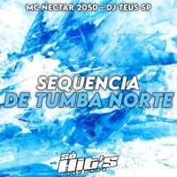 Sequencia de Tumba Norte - Single - DJ TEUS SP, MC NECTAR 2050 & Só Hits Records