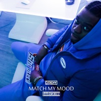 Match My Mood (feat. Daarkskiinn) - Single - Drigyy