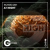 RICHARD GREY - At Night (Record Mix)