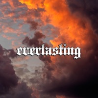 Everlasting - Single - Prezident Evil & Mostly George