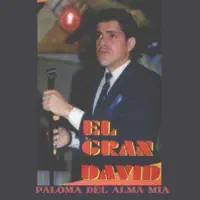 PALOMA DEL ALMA MIA