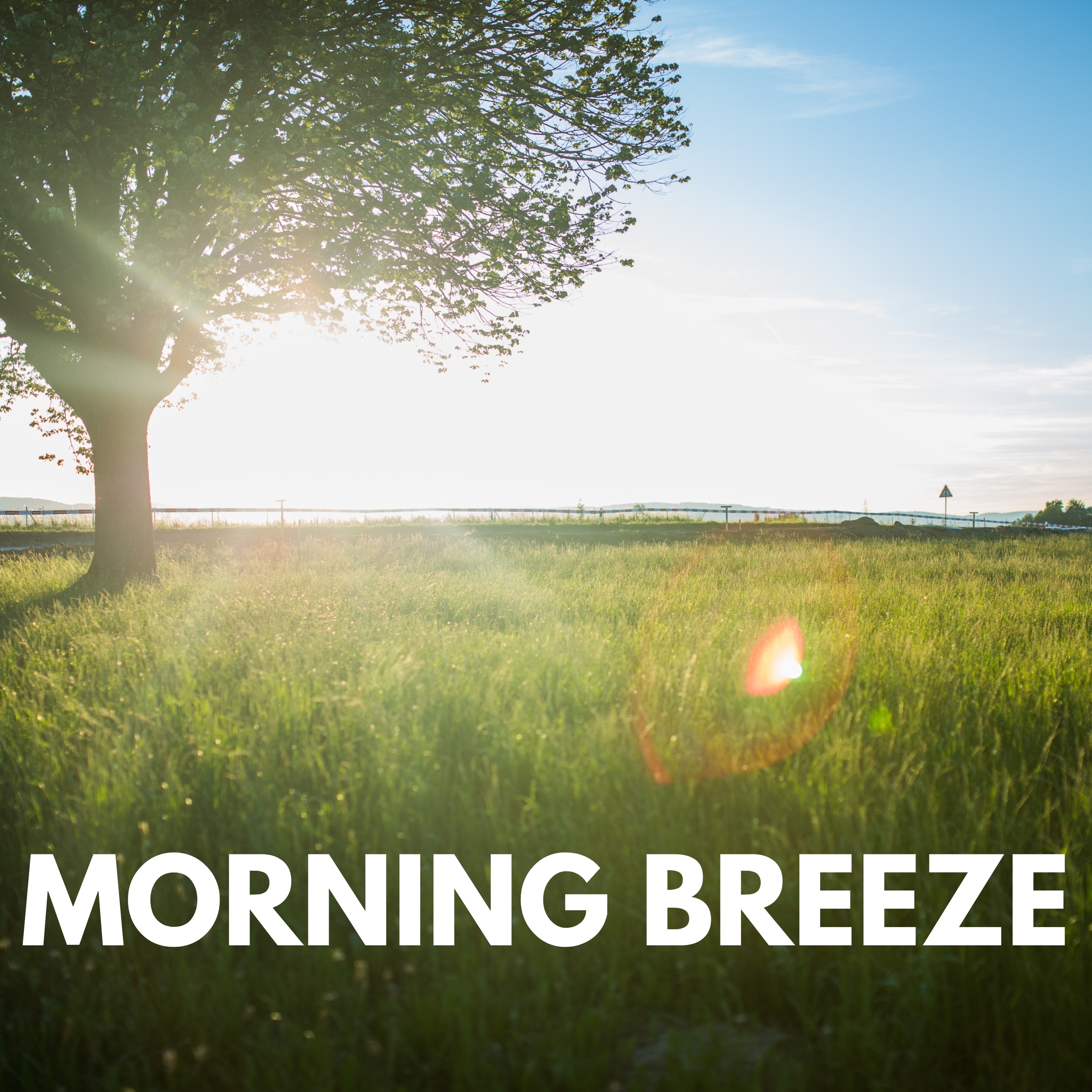 Morning Breeze - Single