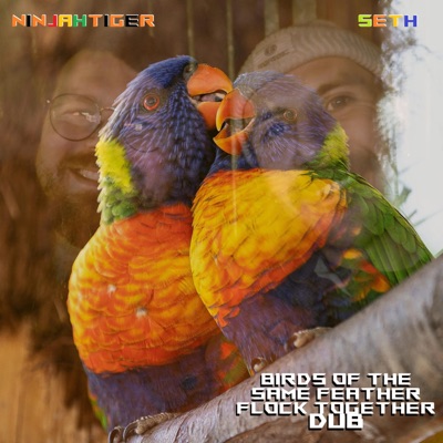 Birds Of The Same Feather Flock Together Dub (feat. SETH) - Single