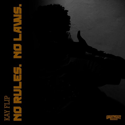 No Rules No Laws - Single