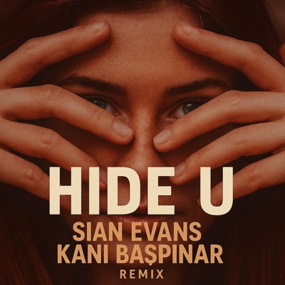 Hide U (feat. Sian Evans) - Single