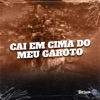 Cai em Cima do Meu Garoto - Single