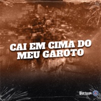 Cai em Cima do Meu Garoto - Single - Dj Rodrigues, Mc Jacaré & mc pipokinha