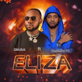 Eliza (feat. GentleStar DC) Mizta Fash