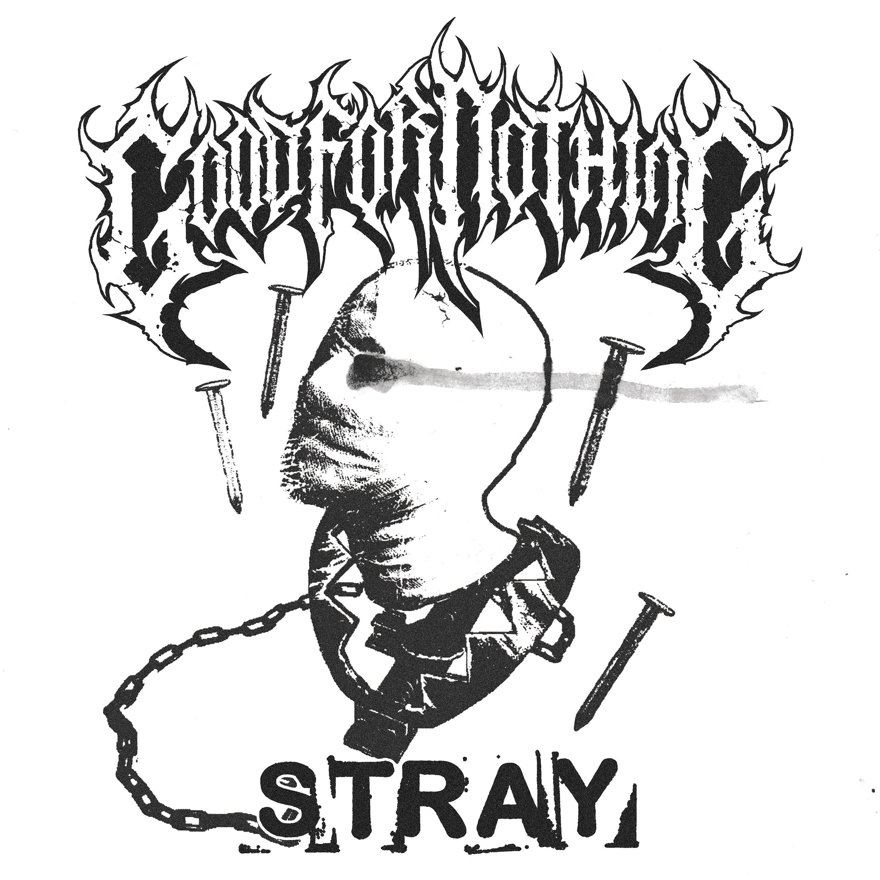 Stray - Single