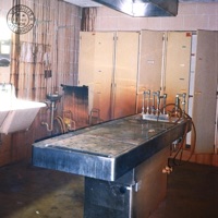 Reverie - Single - DUSTY