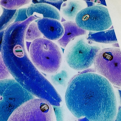 Fruits of tha Spirit! (feat. Jalen Ace & baby grey) - Single