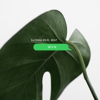 MSN (feat. The Magazine) - Single - La Rana en el Beat