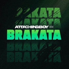 BRAKATA Attachingboy