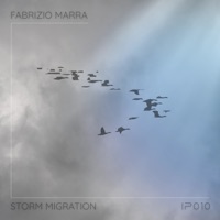 Storm Migration - Single - Fabrizio Marra