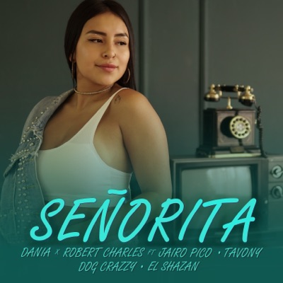 Señorita - Single