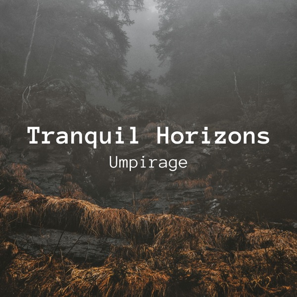 Tranquil Horizons