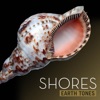 Earth Tones: Shores