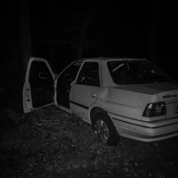ford escort / 2018 - Single - Elver