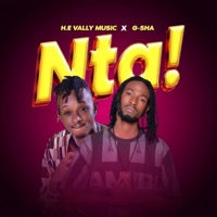 Nta ! (feat. Vally Music) - Single - G-Sha Iano