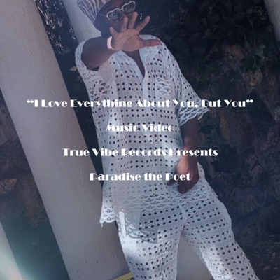 I Love Everything About You, But You - Single