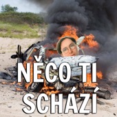 Něco ti schází artwork