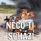 Něco ti schází artwork