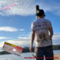 my nose itches but i dont miss you (feat. woody) - Single - Wasian Wockstar