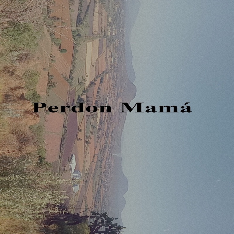 Perdon Mamá - Single