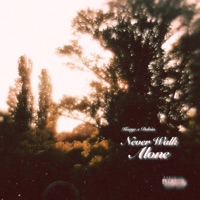 Never Walk Alone - Single - Delvin & K0NYE