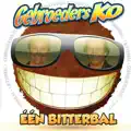 Een Bitterbal