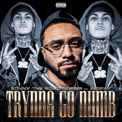 Trynna Go Numb (feat. 22gfay) - Single