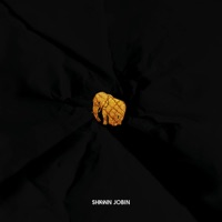 Album cover for Bordel by Shawn Jobin