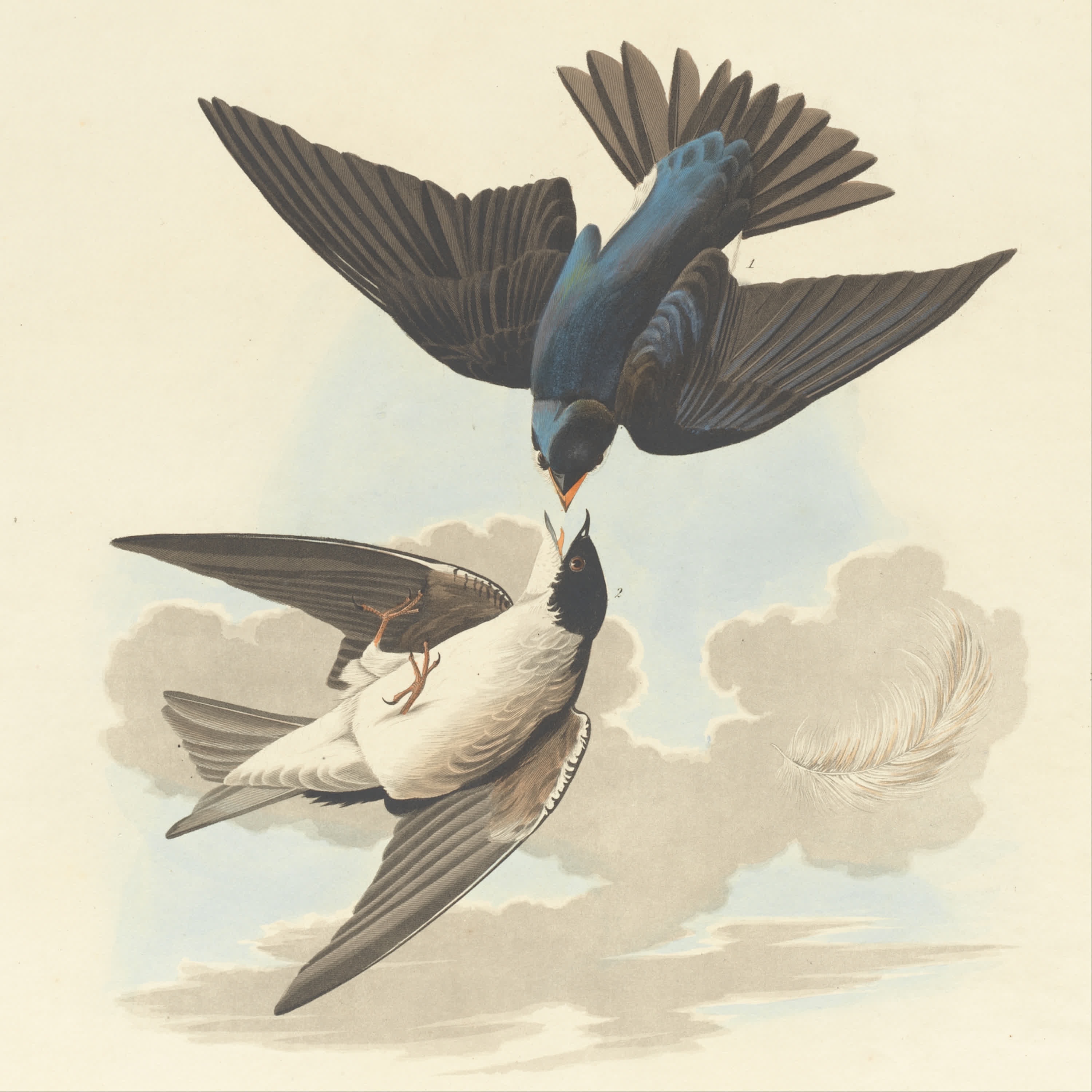 Identity As A Verb - EP