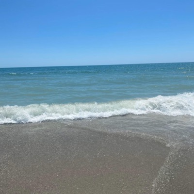 Fantasies (Radio Edit) - Single