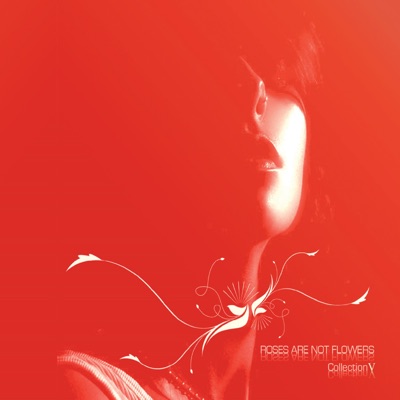 Roses are not flowers 5