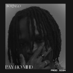 Pay No Mind - Single