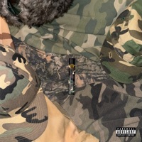 blinker - Single - noahs