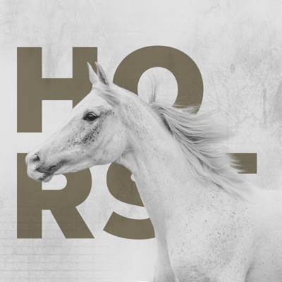 Horse (feat. Sophaura & Virgo) - Single
