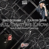 All That We Know (feat. Krayzie Bone) - Single - Fino Sickness