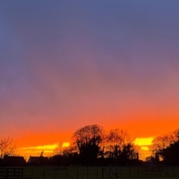 Traces - Single - Elk Beats